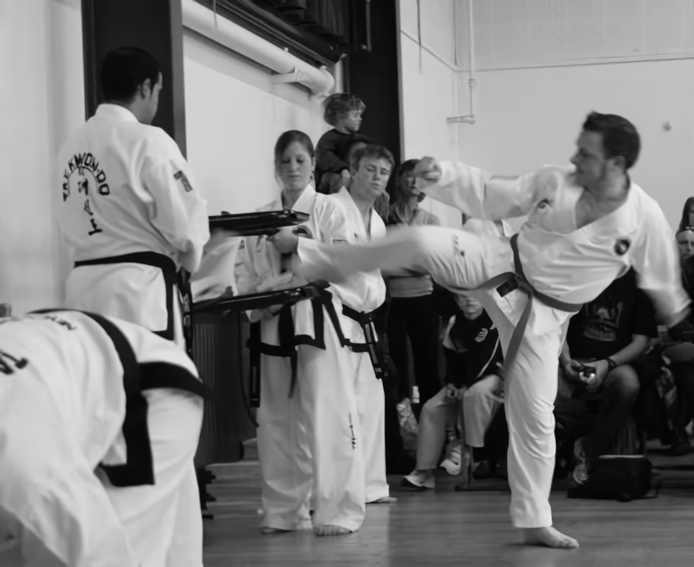 Spirit Taekwon-Do
